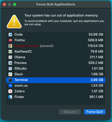 a screenshot of a memory issue